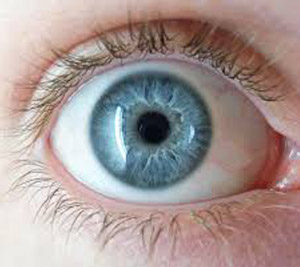 Iris Recognition On Smartphones Iris Recognition On Smartphones