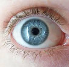 iris recognition for patient ID in healthcare is a more accurate and secure way to identify patients iris recognition for patient ID in healthcare is a more accurate and secure way to identify patients