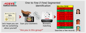 Segmented Identification