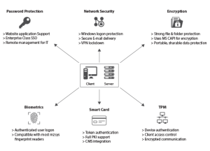 Biometric single sign on working process