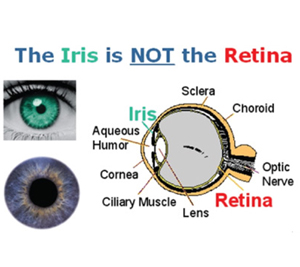 iris vs retinal scanning is there a difference