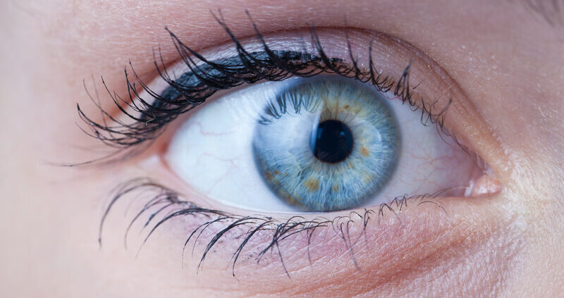 iris-recognition-for-patient-ID-in-healthcare-RIghtPatient