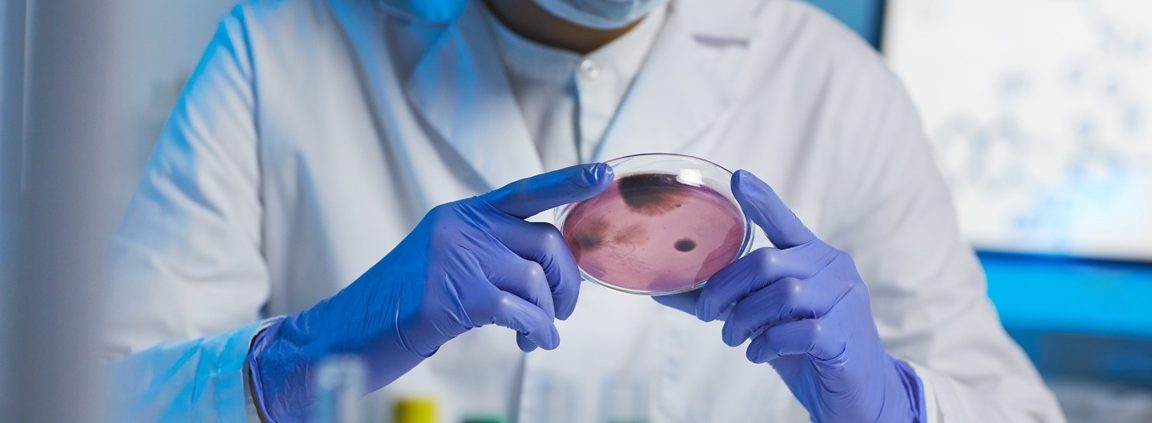 When Nature Says No How IVF Technology Is Rewriting Fertility Limits