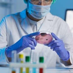 When Nature Says No: How IVF Technology Is Rewriting Fertility Limits